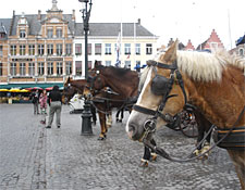 Bruges Transportation